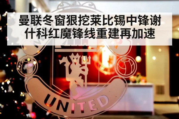 曼联冬窗狠挖莱比锡中锋谢什科红魔锋线重建再加速
