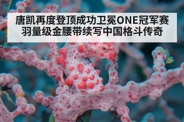 唐凯再度登顶成功卫冕ONE冠军赛羽量级金腰带续写中国格斗传奇